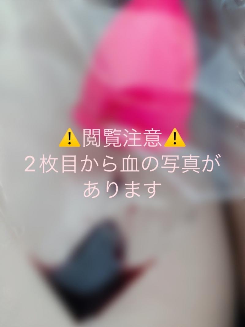 出品者名-写真
