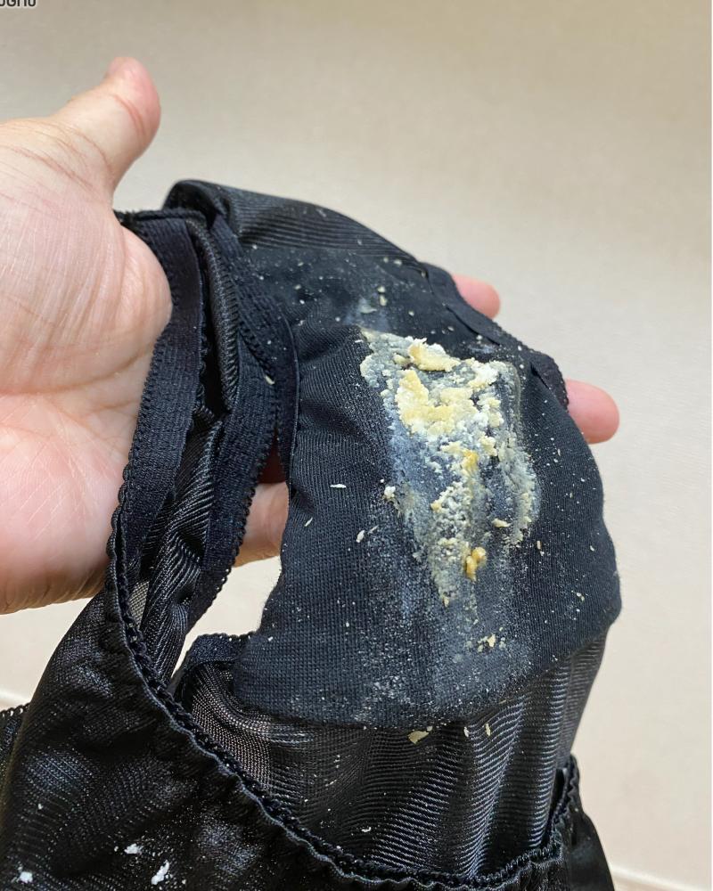 出品者名-写真