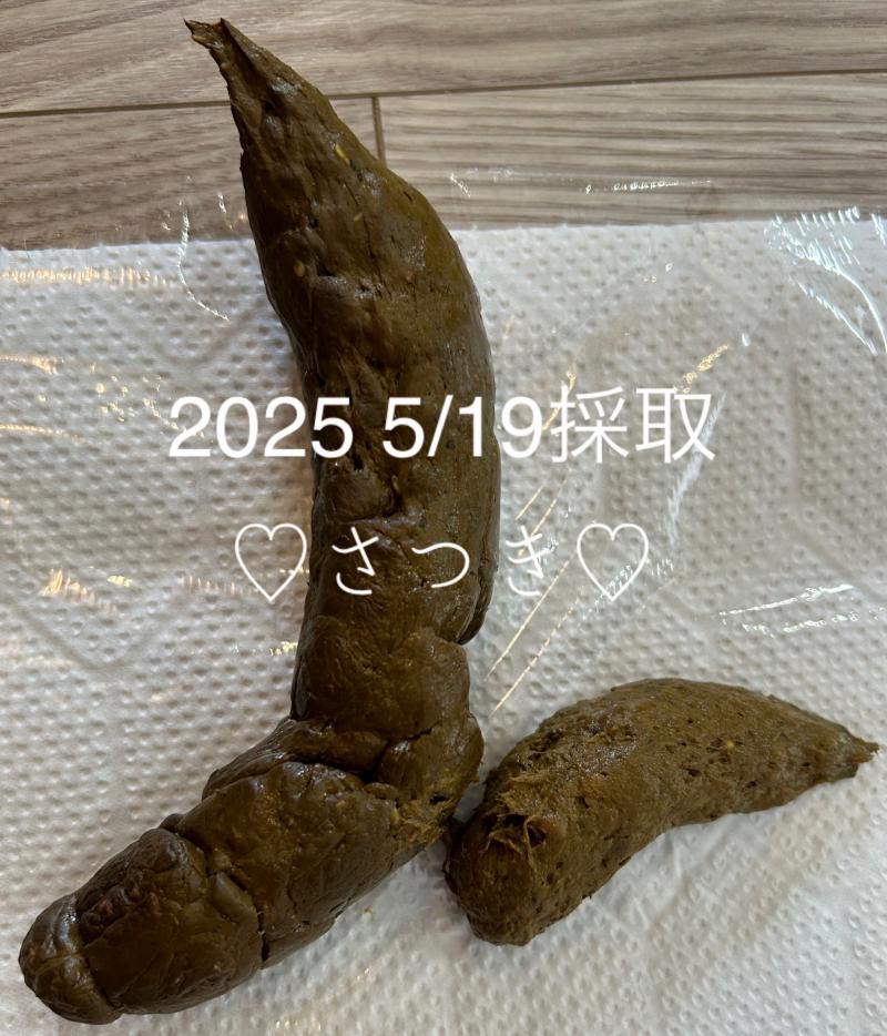 出品者名-写真-1