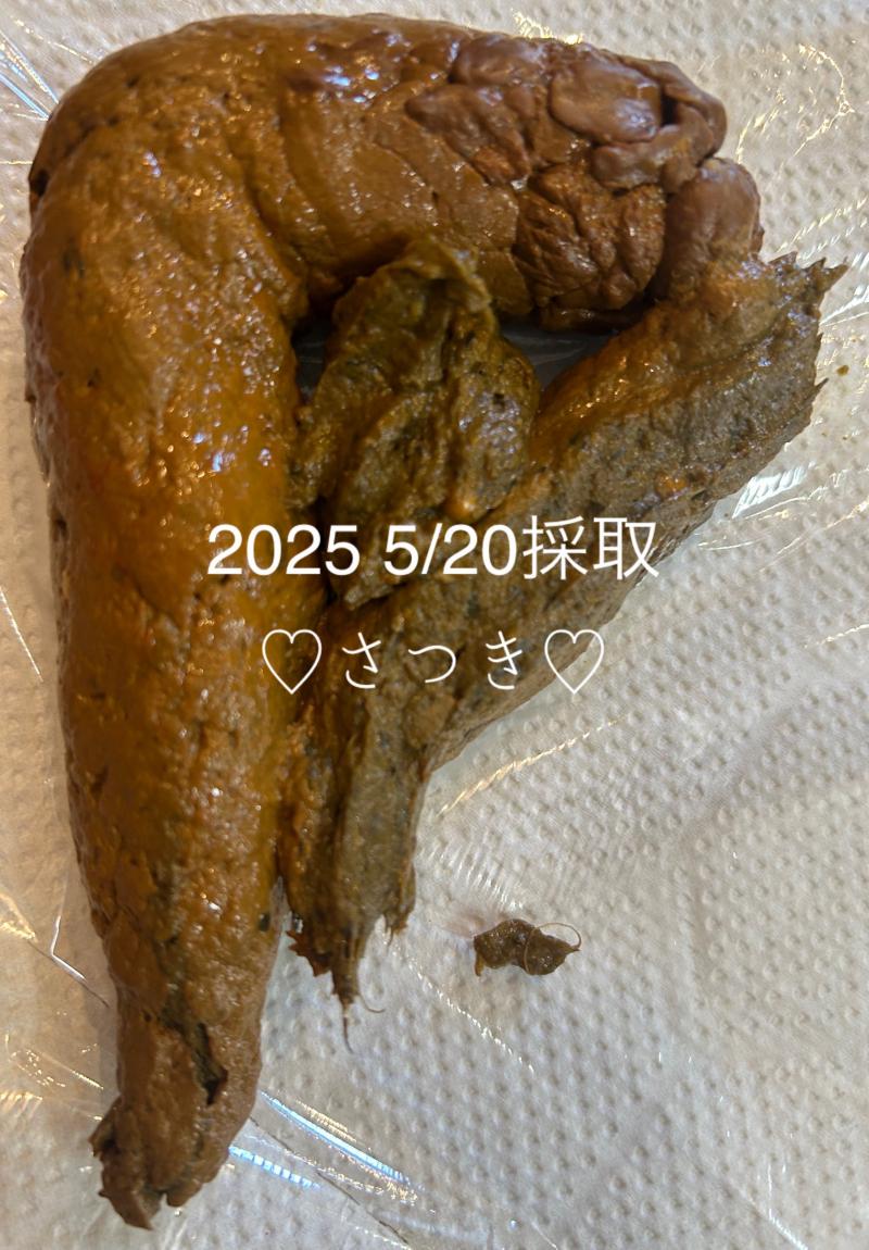 出品者名-写真-1