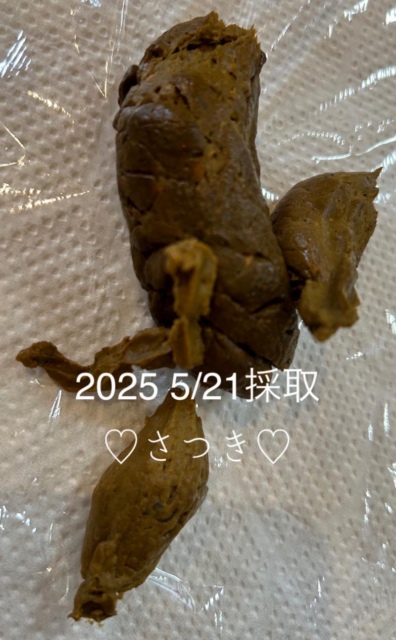 出品者名-写真-1