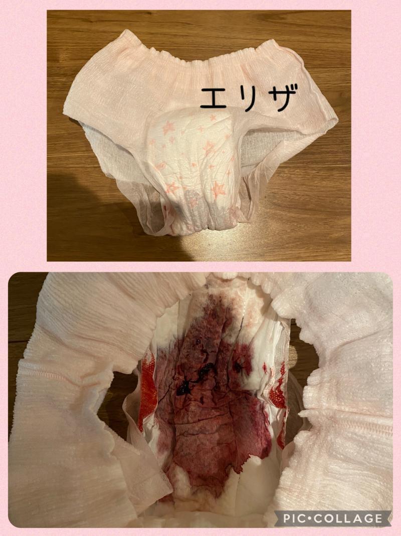 出品者名-写真-1