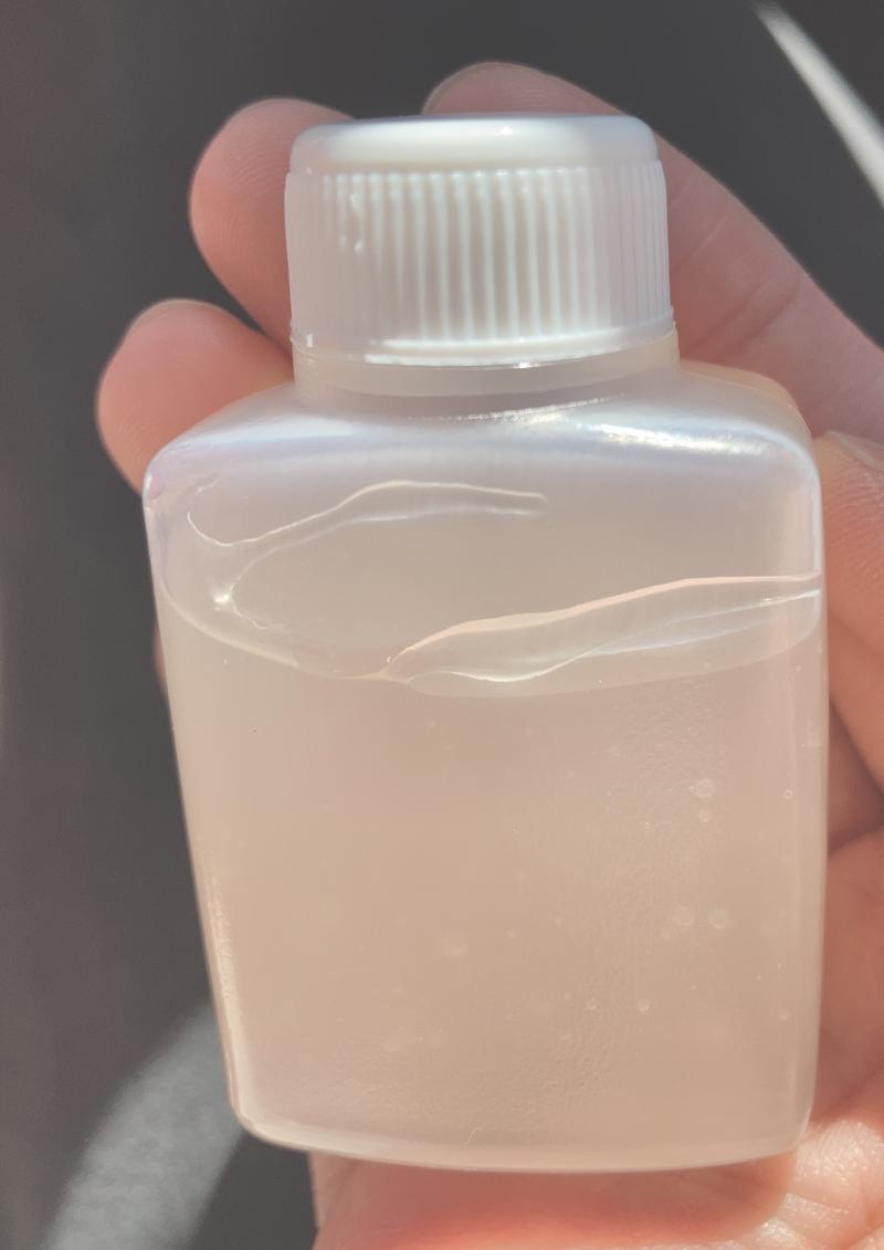 出品者名-写真-1