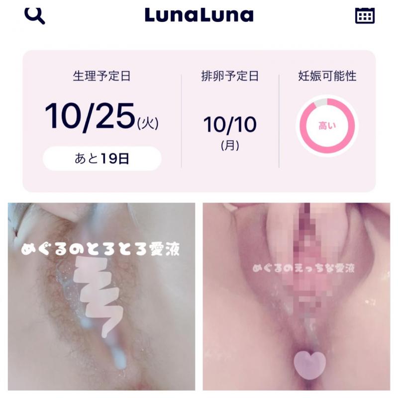 出品者名-写真