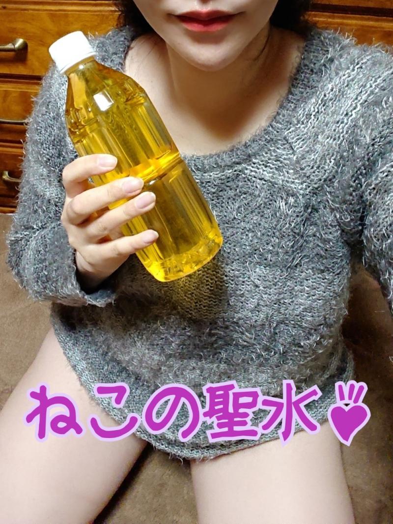 出品者名-写真-1