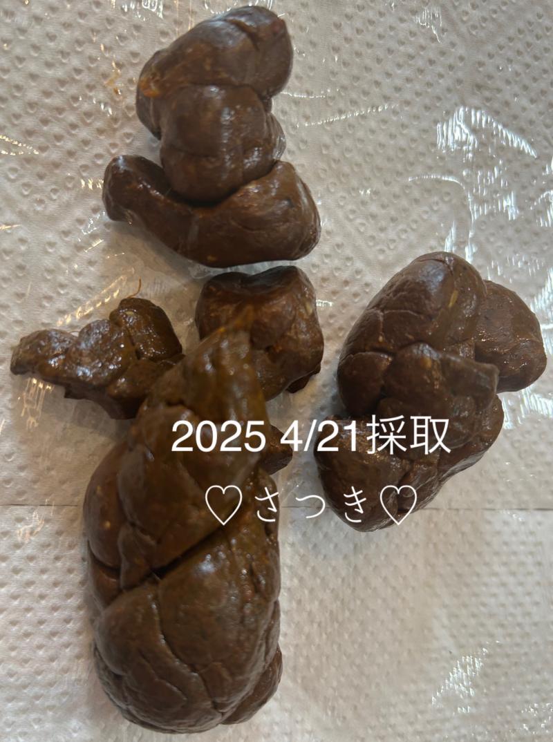 出品者名-写真-1