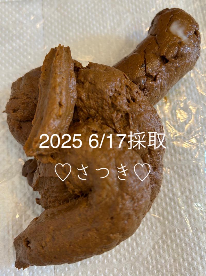 出品者名-写真-1