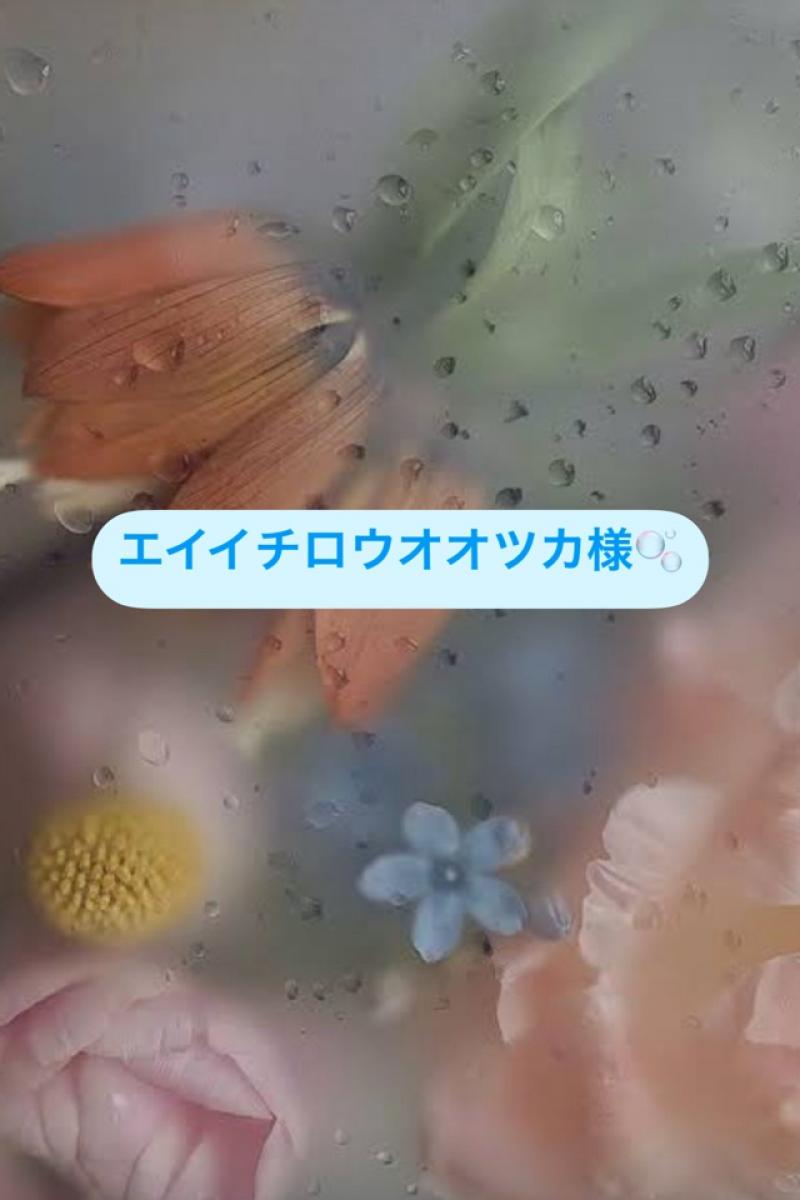 出品者名-写真