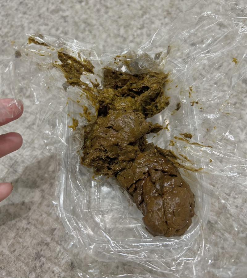 出品者名-写真-1