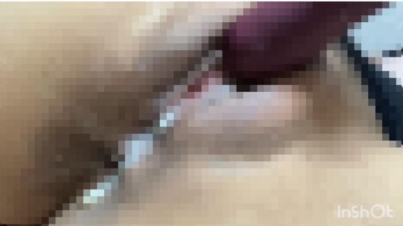出品者名-写真