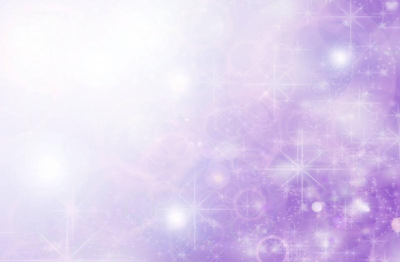 出品者名-写真-1