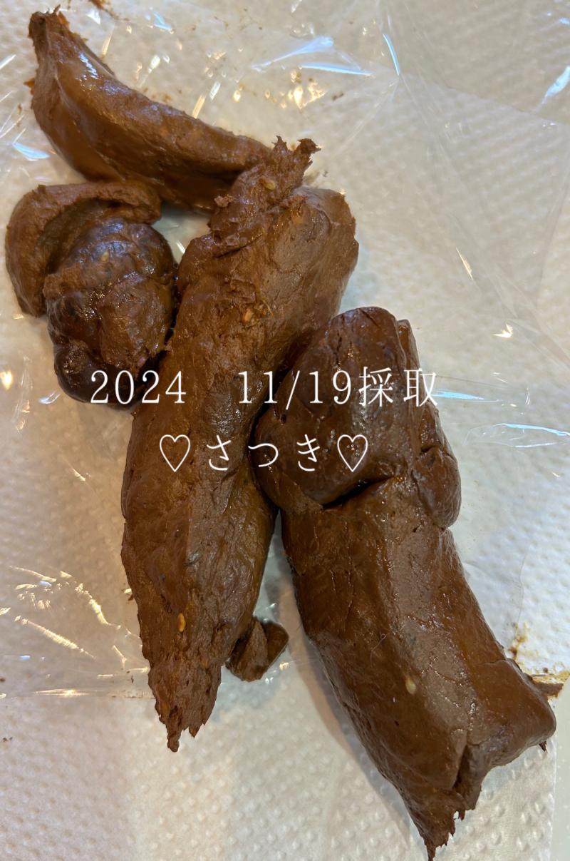 出品者名-写真-1