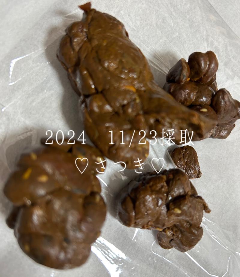 出品者名-写真-1