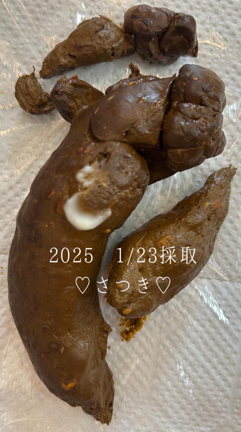 出品者名-写真-1