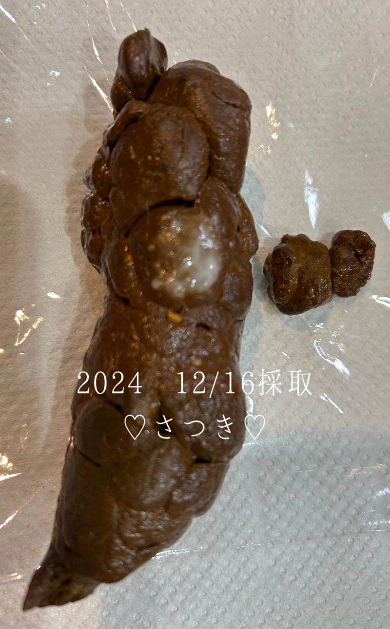 出品者名-写真-1