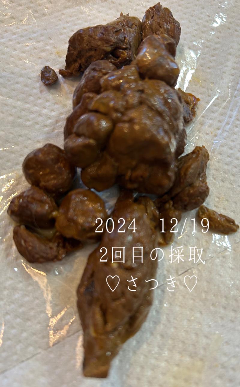 出品者名-写真-1