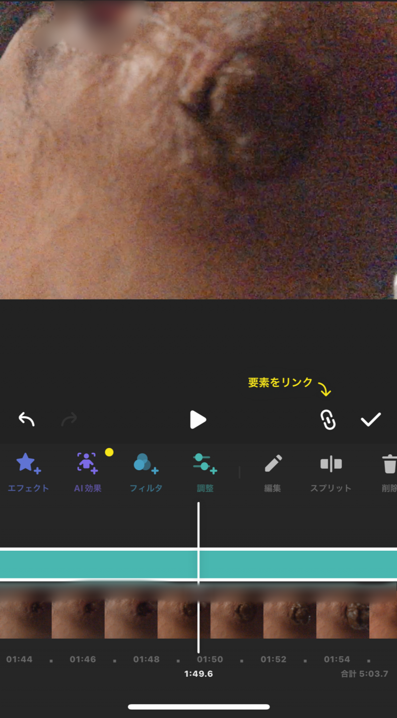 出品者名-写真-1