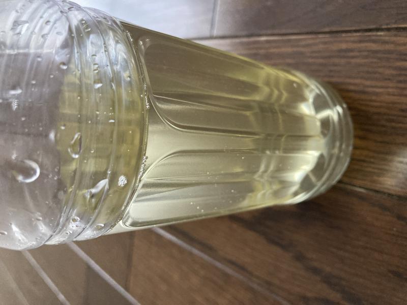 出品者名-写真-1