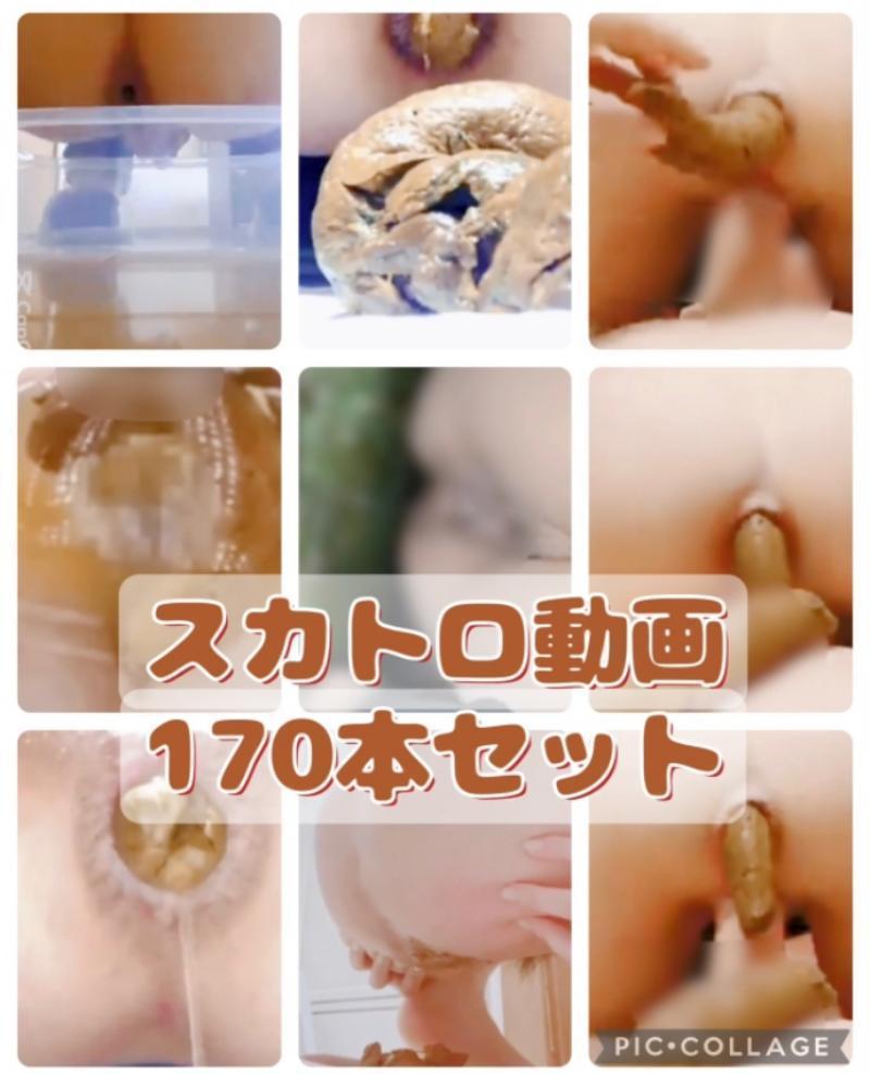 出品者名-写真