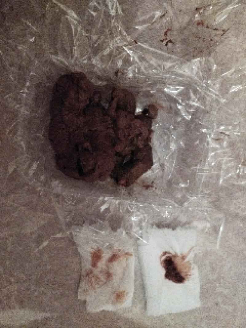 出品者名-写真-1