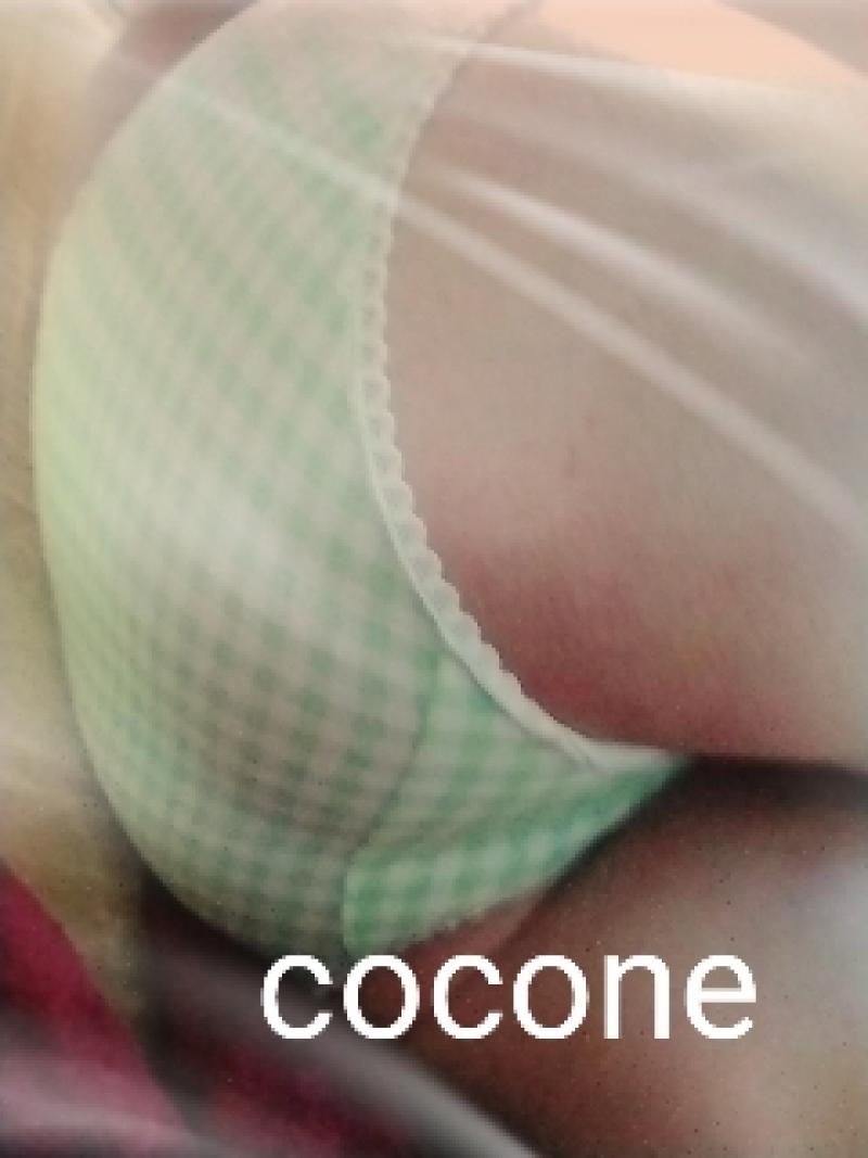 出品者名-写真-1
