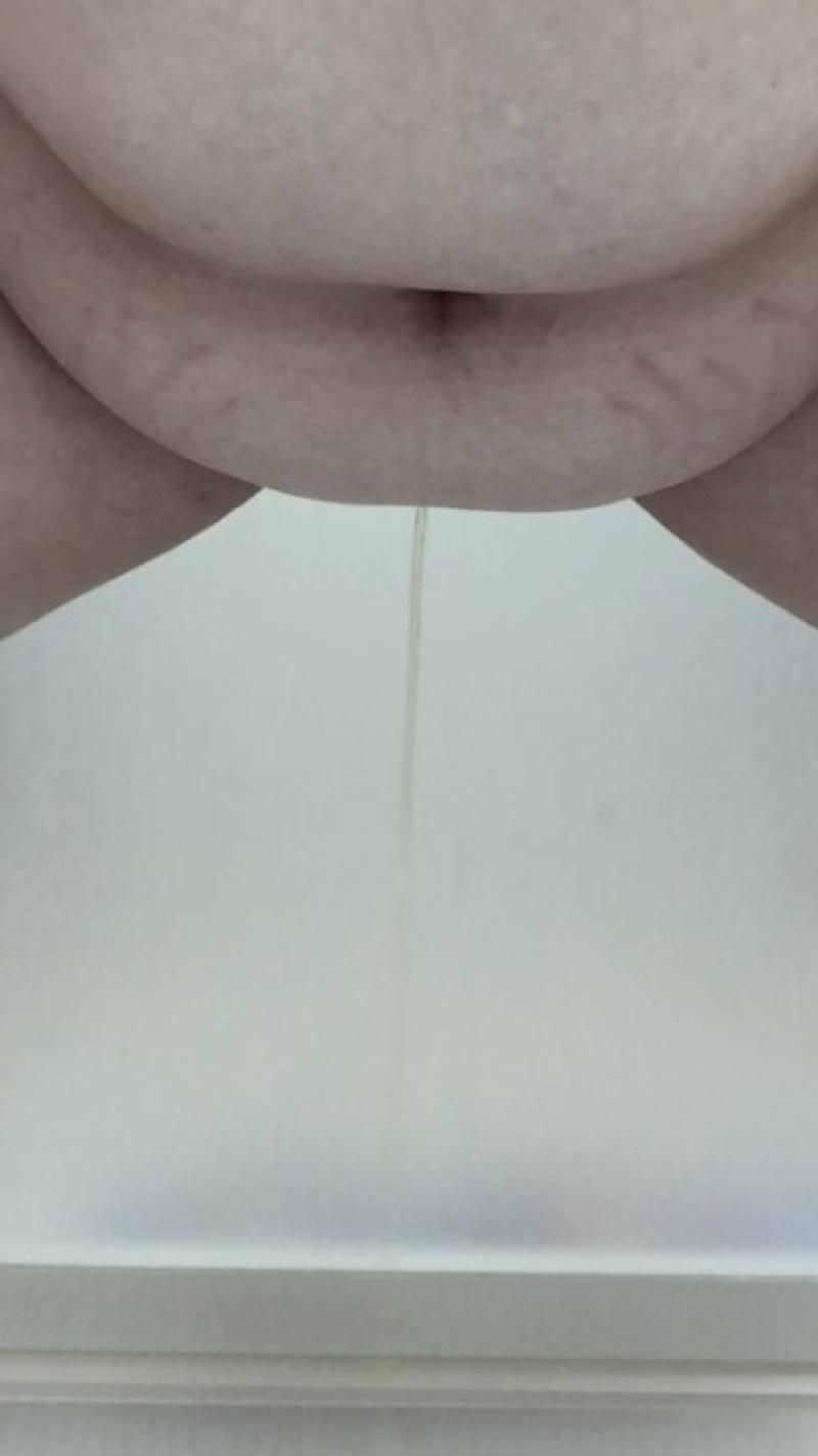 出品者名-写真-1