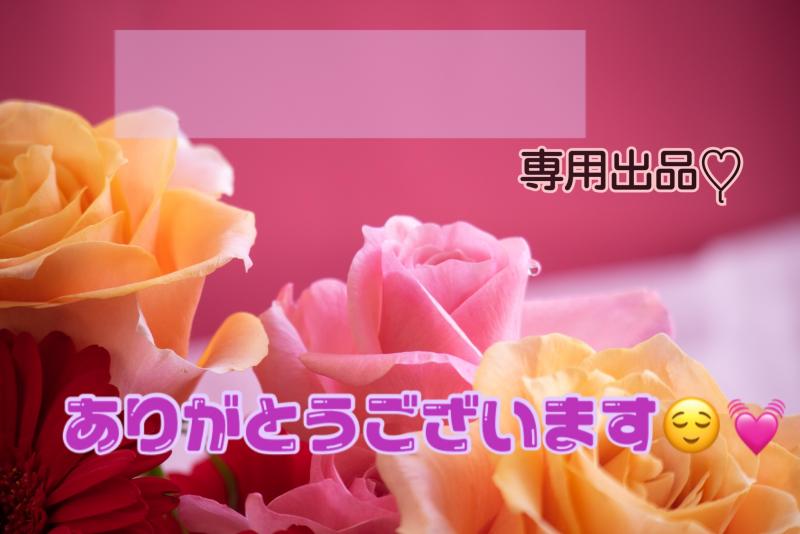 出品者名-写真