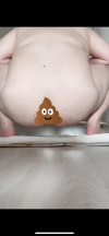 出品者名-写真-1