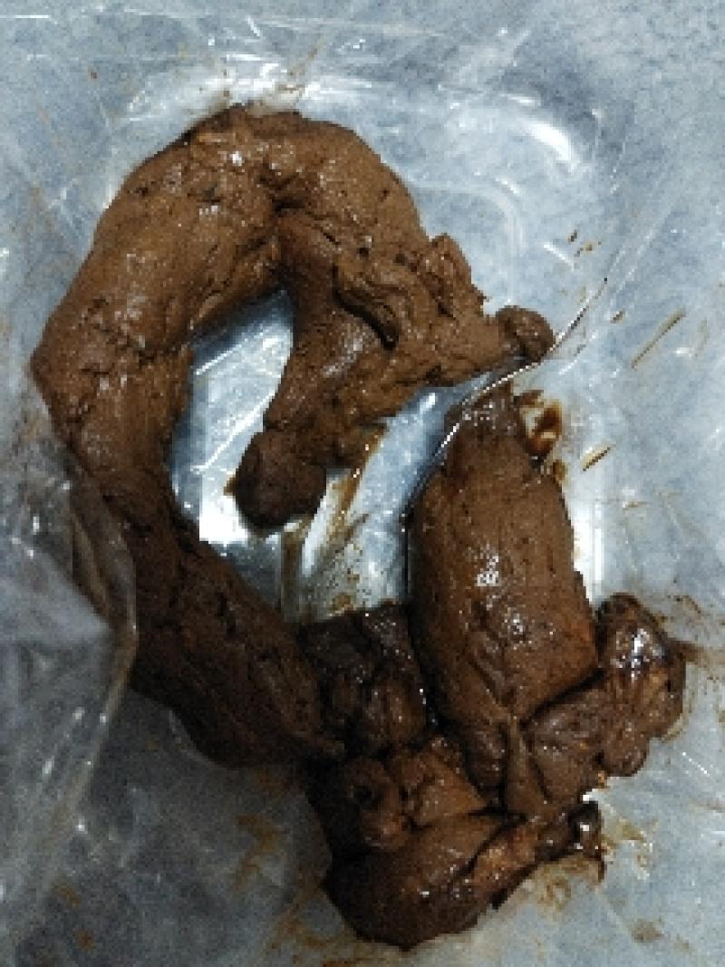 出品者名-写真-1