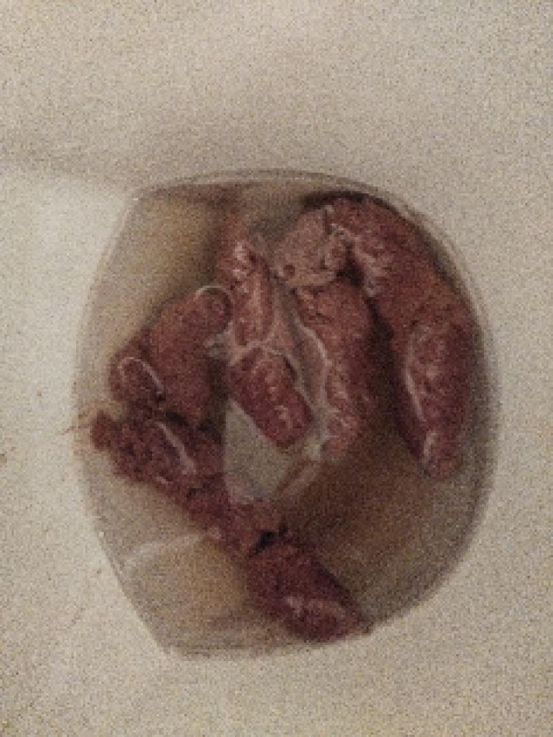 出品者名-写真-1