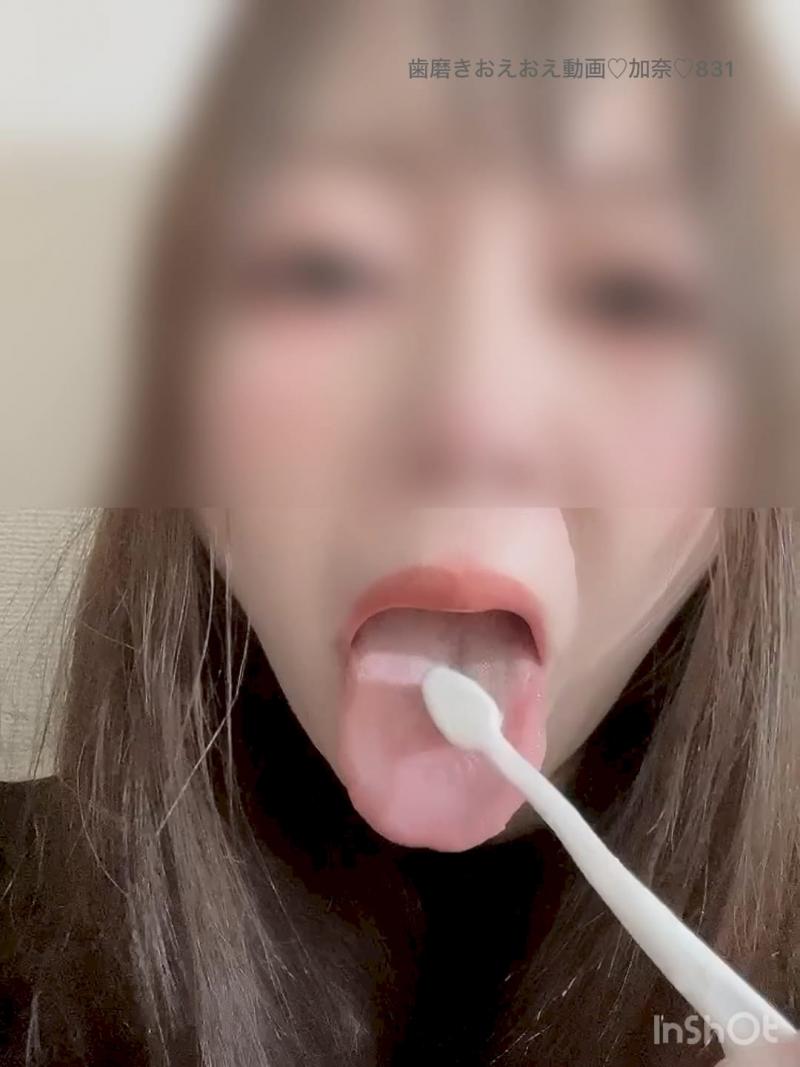 出品者名-写真-1