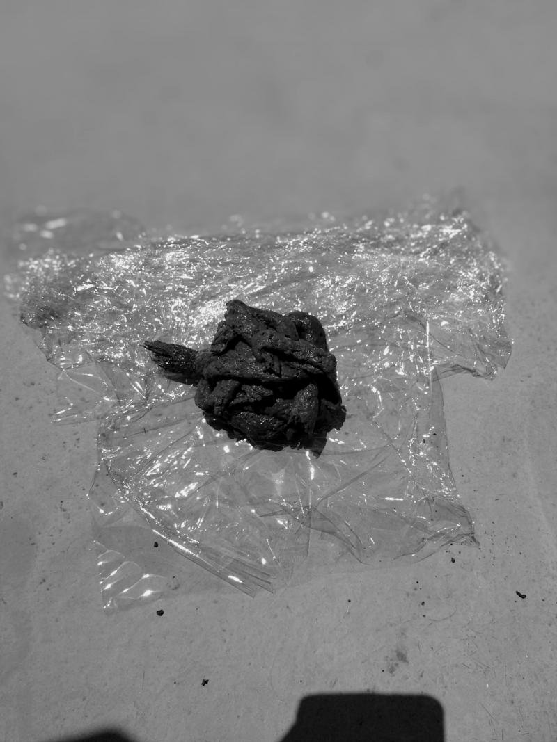 出品者名-写真