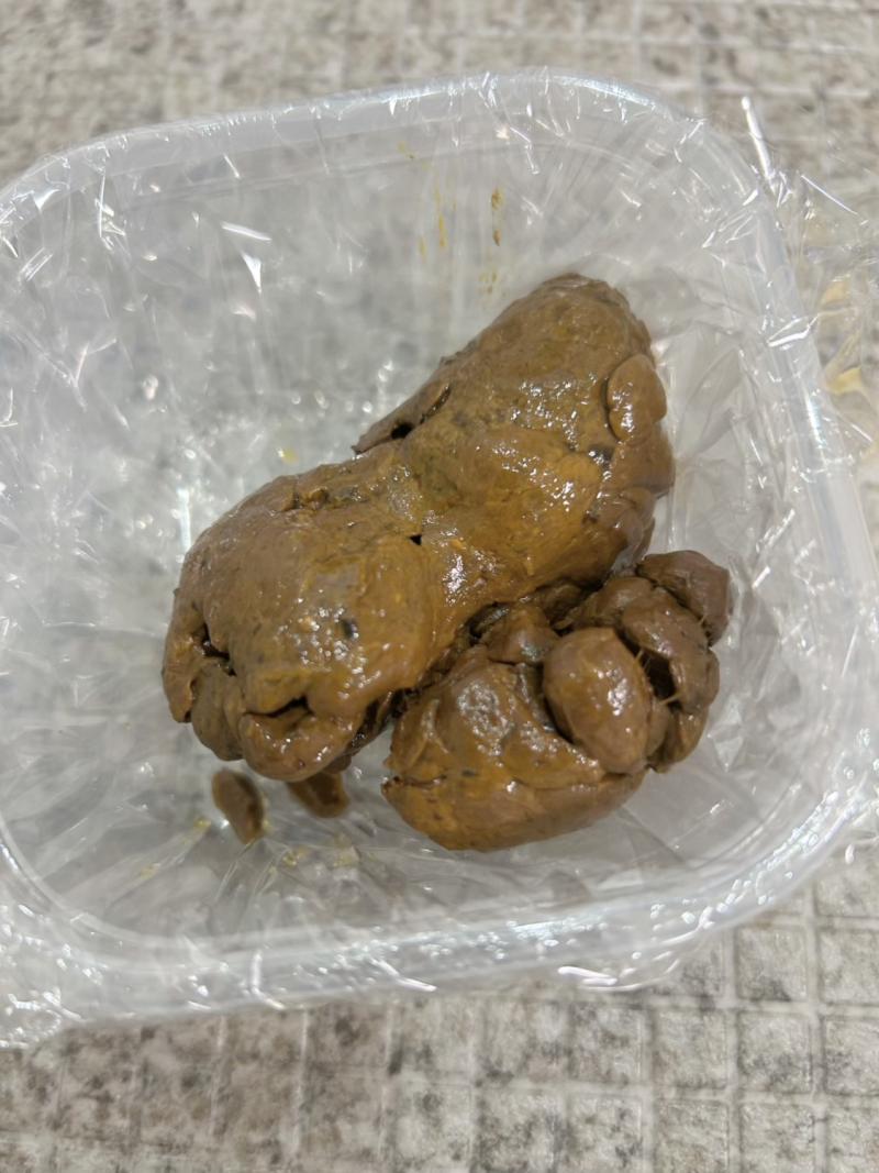 出品者名-写真-1