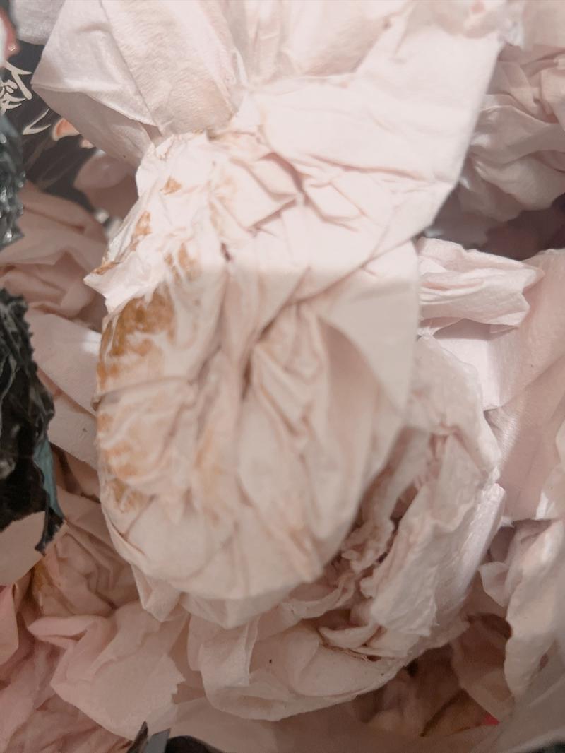 出品者名-写真-1