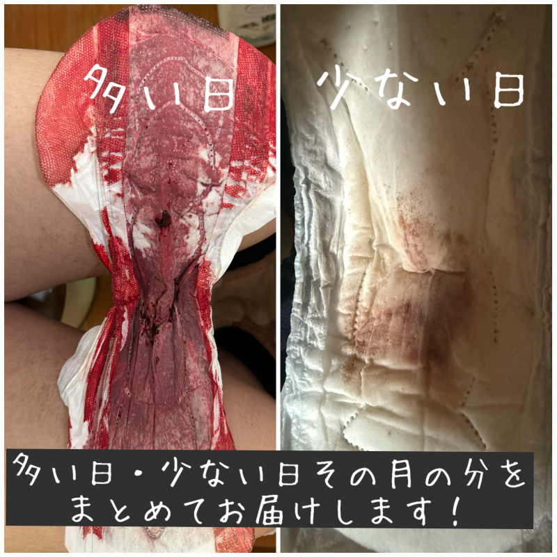出品者名-写真-1