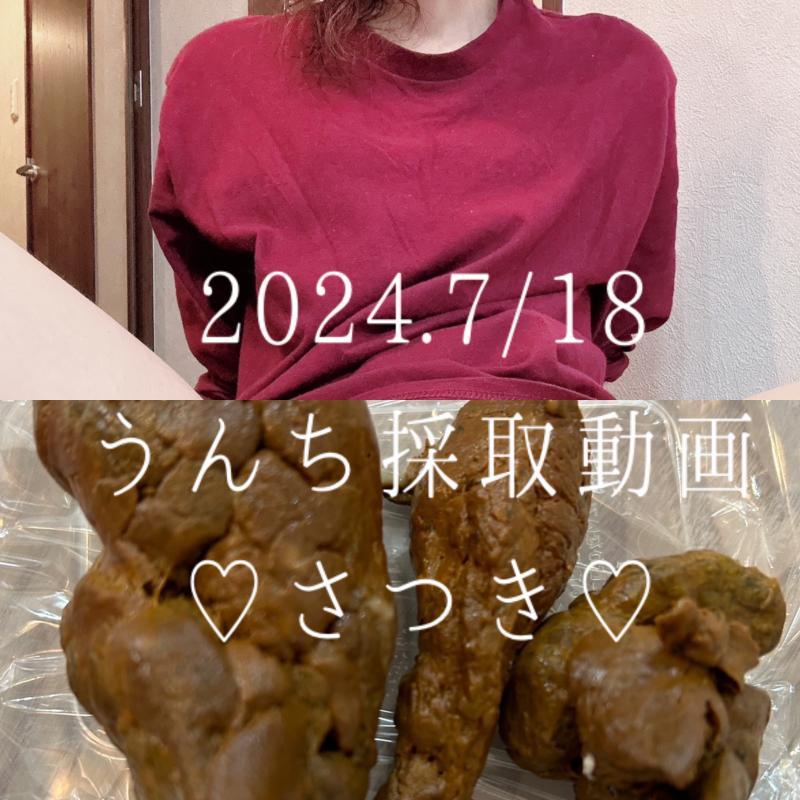 出品者名-写真