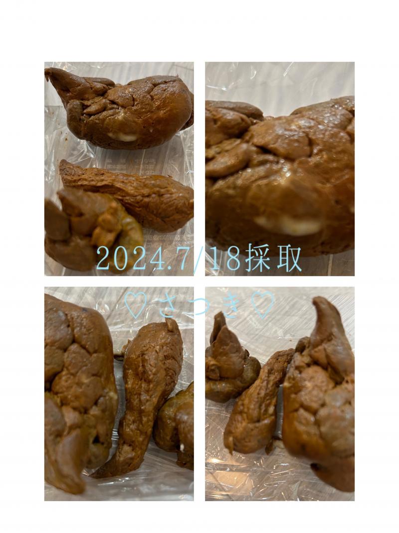 出品者名-写真-1