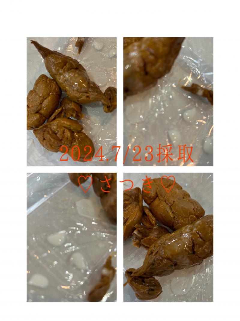 出品者名-写真-1