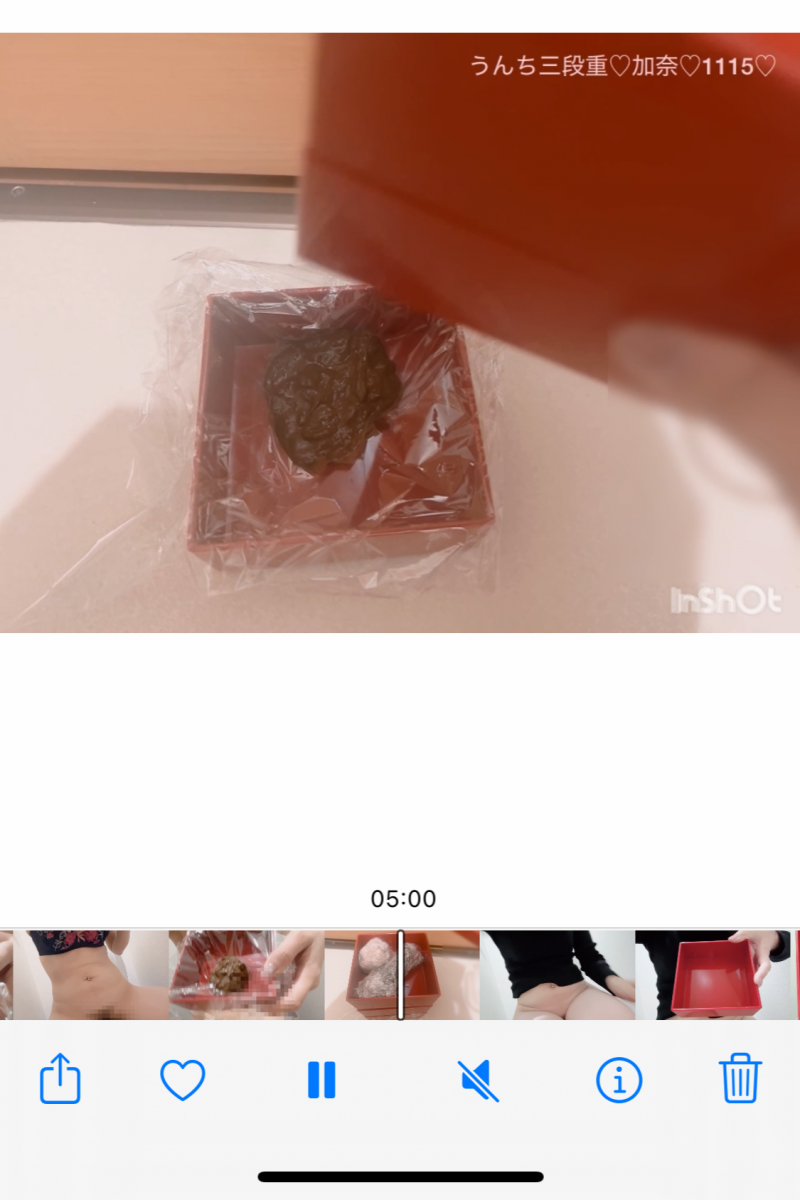 出品者名-写真-1