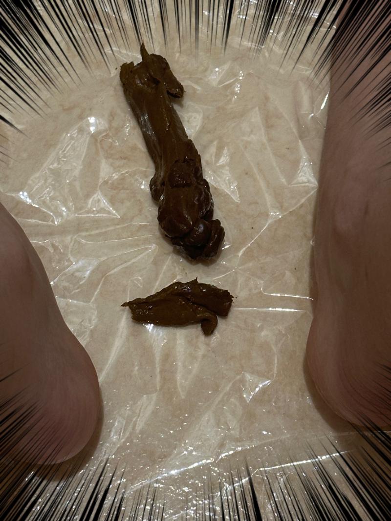 出品者名-写真-1