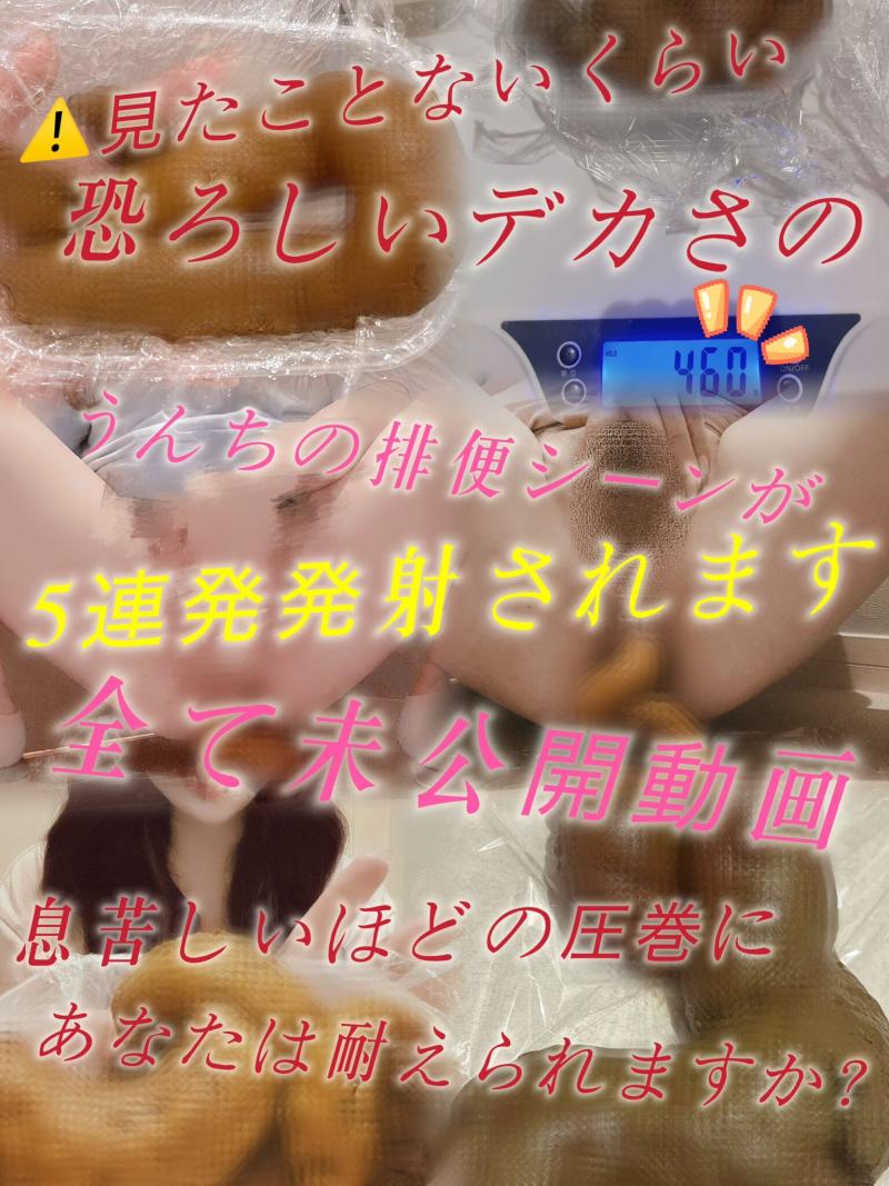 出品者名-写真-1