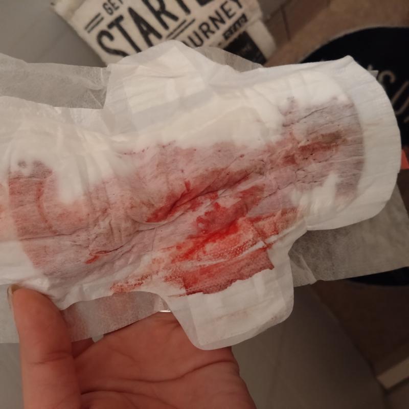 出品者名-写真-1