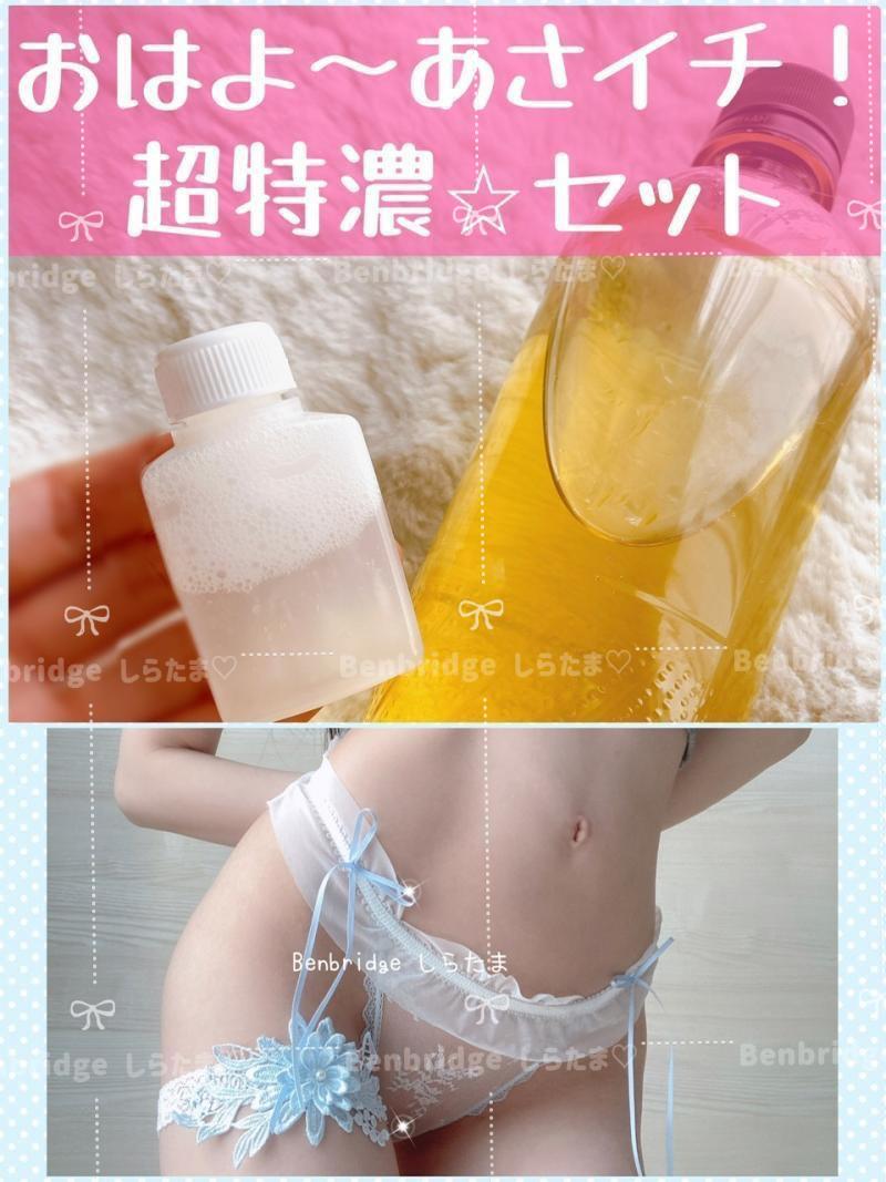 出品者名-写真