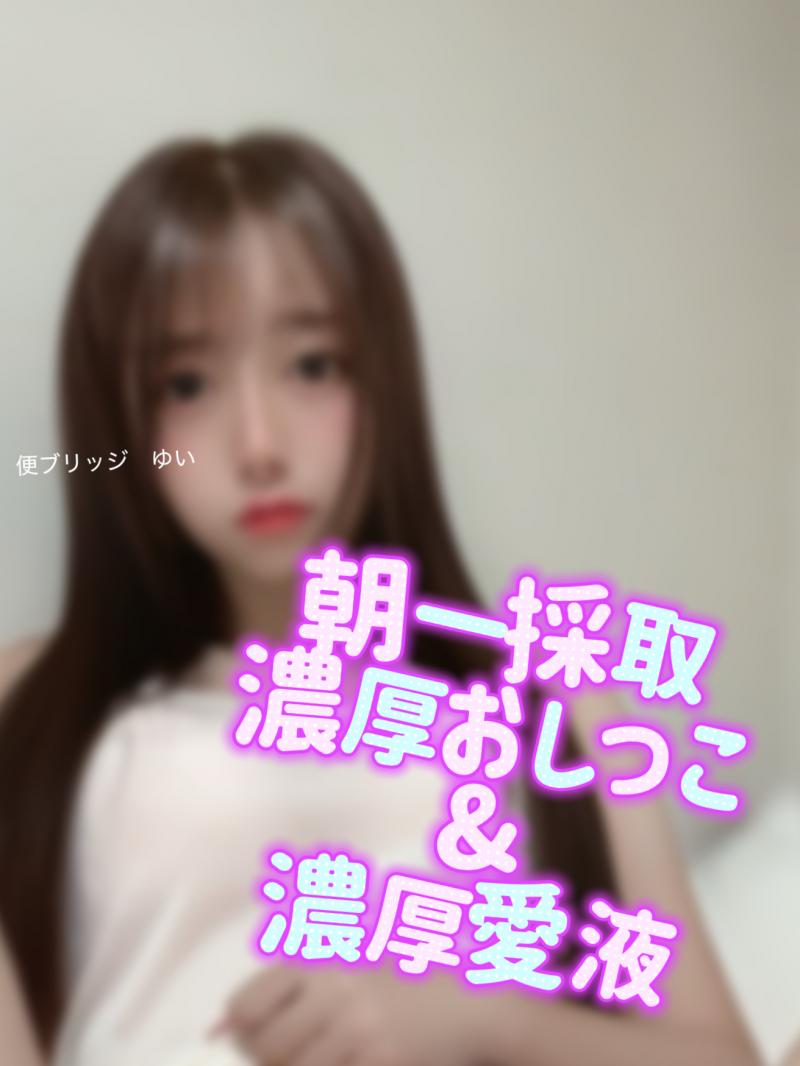 出品者名-写真