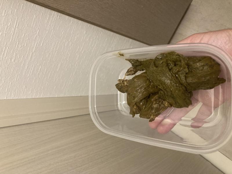 出品者名-写真