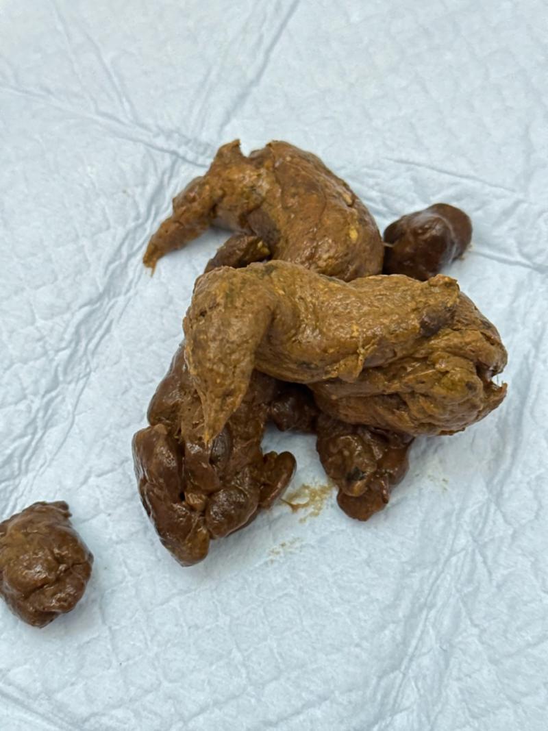 出品者名-写真-1