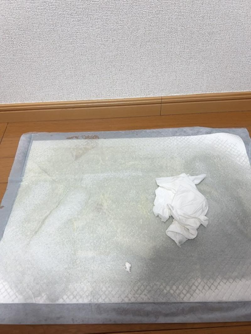 出品者名-写真