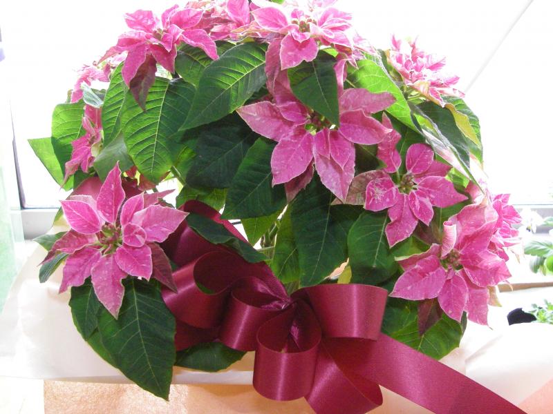 出品者名-写真-1