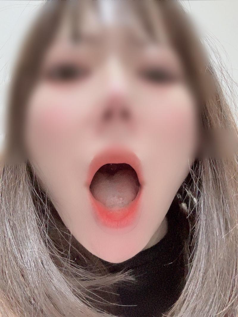 出品者名-写真-1