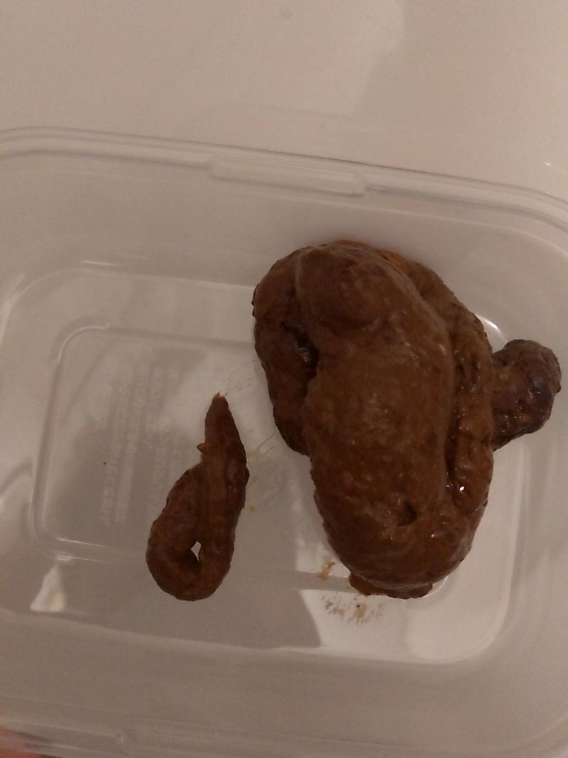 出品者名-写真-1